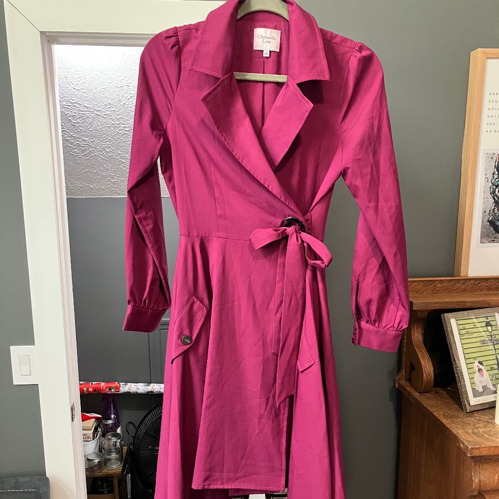 Chriselle Lim Asymmetrical Dress